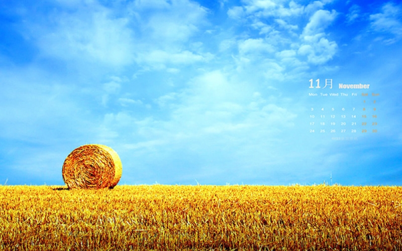 廣東匯綠丨TMOON實(shí)驗(yàn)室高端裝備 · 深秋十一月